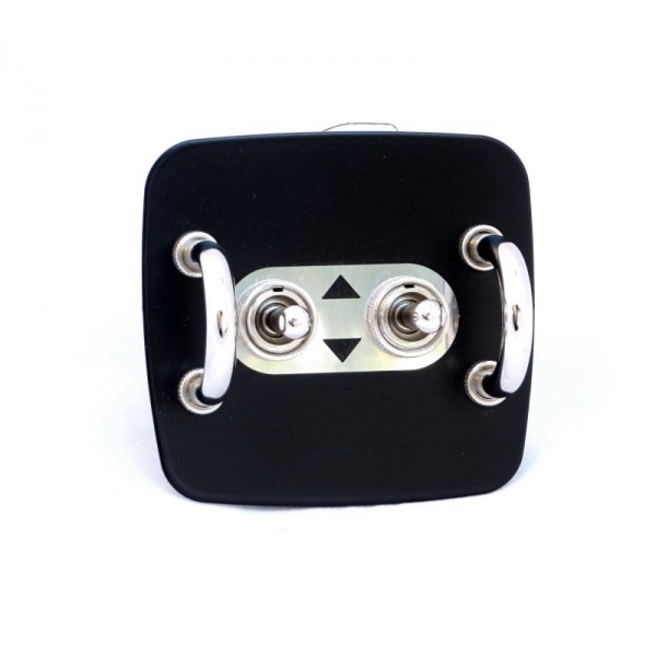 Jass Performance El. Windows Panel With Vintage Toggle Switches for NB