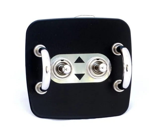 Jass Performance El. Windows Panel With Vintage Toggle Switches