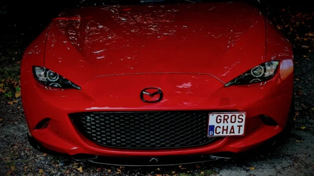 Image #3 from GrosChat