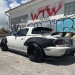 Overfenders Kit from rear