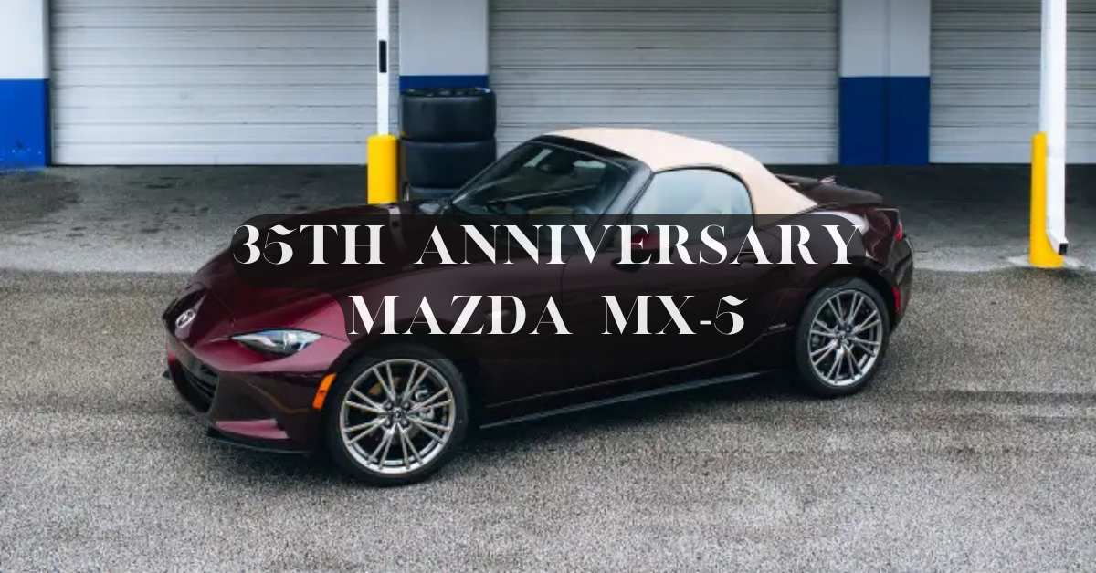 な*お様 Cadenza カデンツァ 45HS Guarneri ハンドメイドミ S*a様 Cadenza カデンツァ 45HS Guarneri ハンドメイドミ